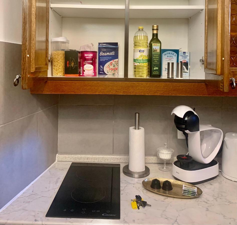 Ljubljana City Center Apartment Dış mekan fotoğraf